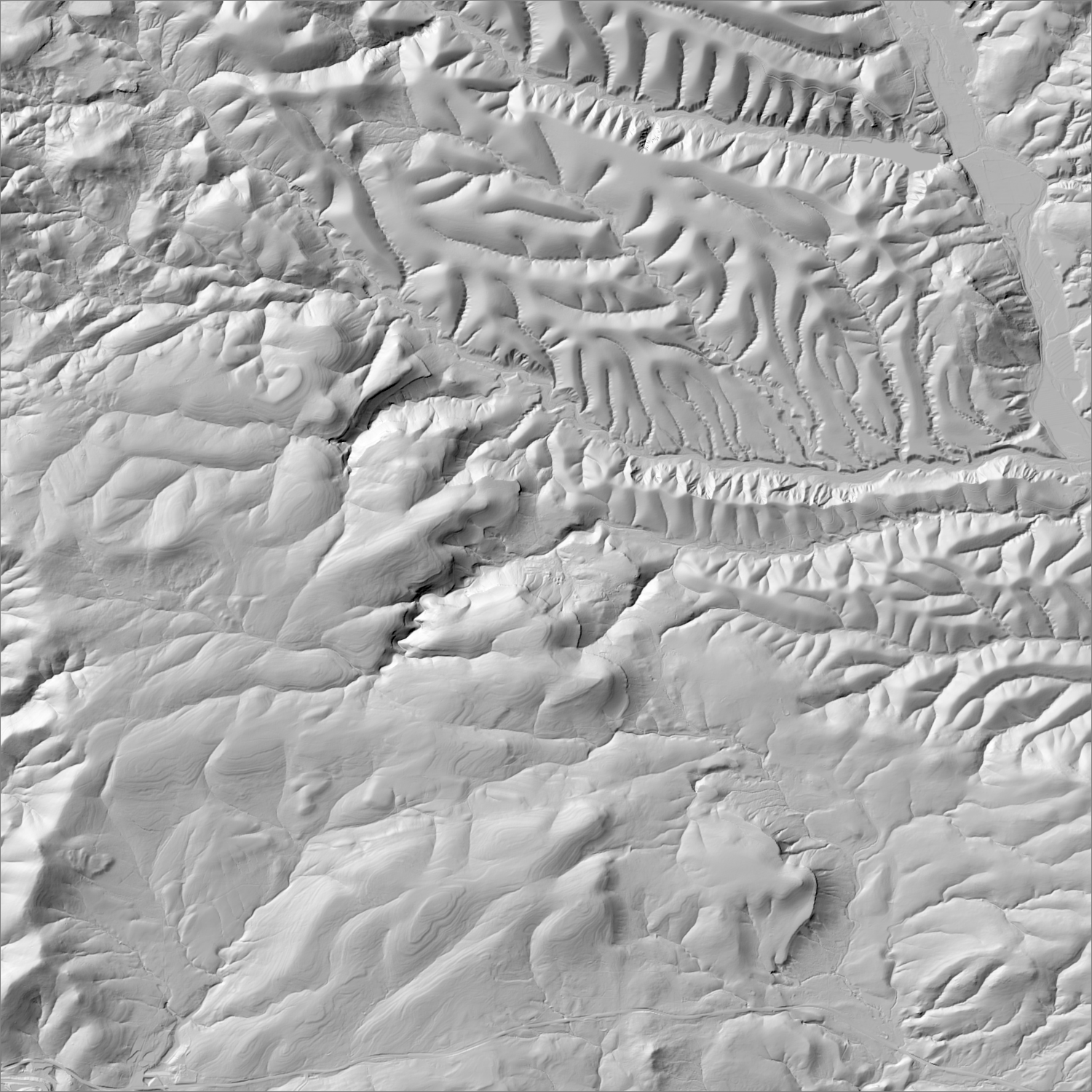 High-resolution lidar hillshade of the Georgetown district