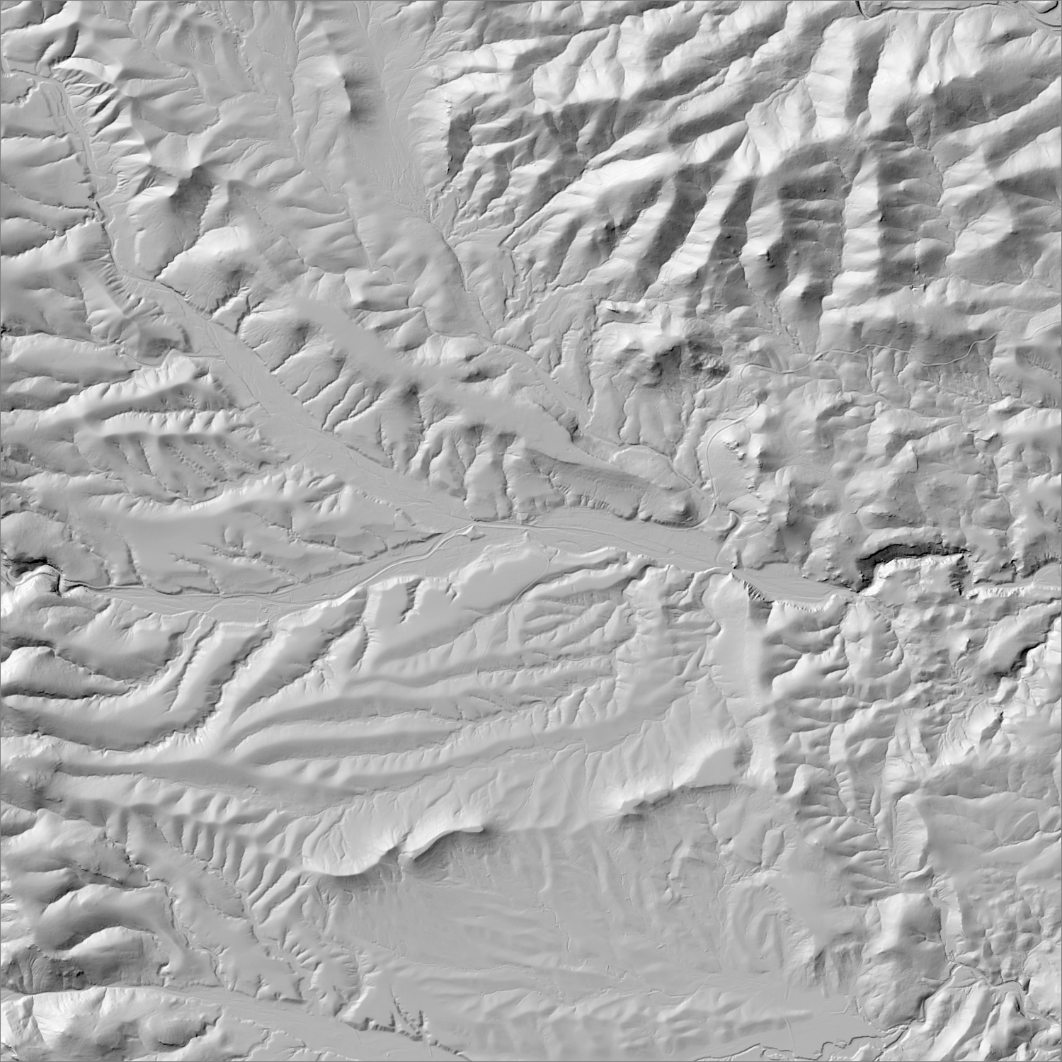 High-resolution lidar hillshade of the Hillsboro-Kingston / Copper Flat district