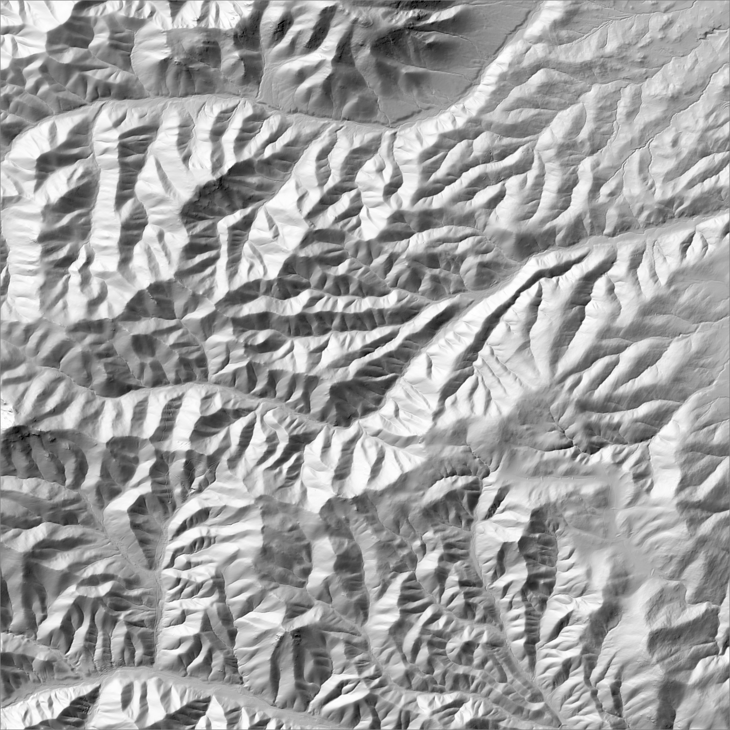 High-resolution lidar hillshade of the Nogal-Bonito district
